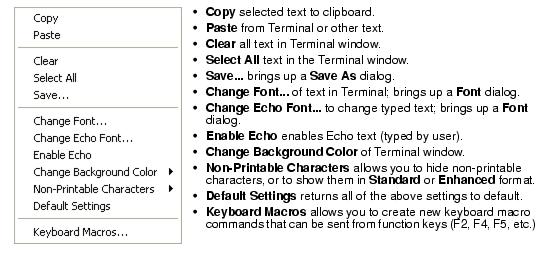 Hãy khám phá các menu cửa sổ Terminal một cách dễ dàng và nhanh chóng, hình ảnh liên quan sẽ cho bạn những bí quyết và kỹ năng tuyệt vời để quản lý và điều khiển hệ thống của bạn.